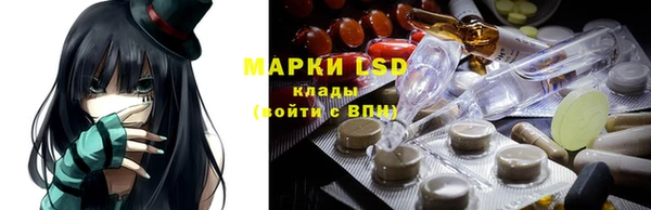 прущие крисы Новозыбков