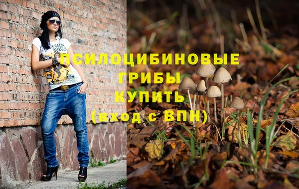 стафф Новокубанск